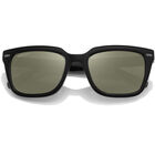 IDYLLWILD, Shiny Black-Mineral Polarized 555nm Silver Cat 3 to 3, hi-res image number null